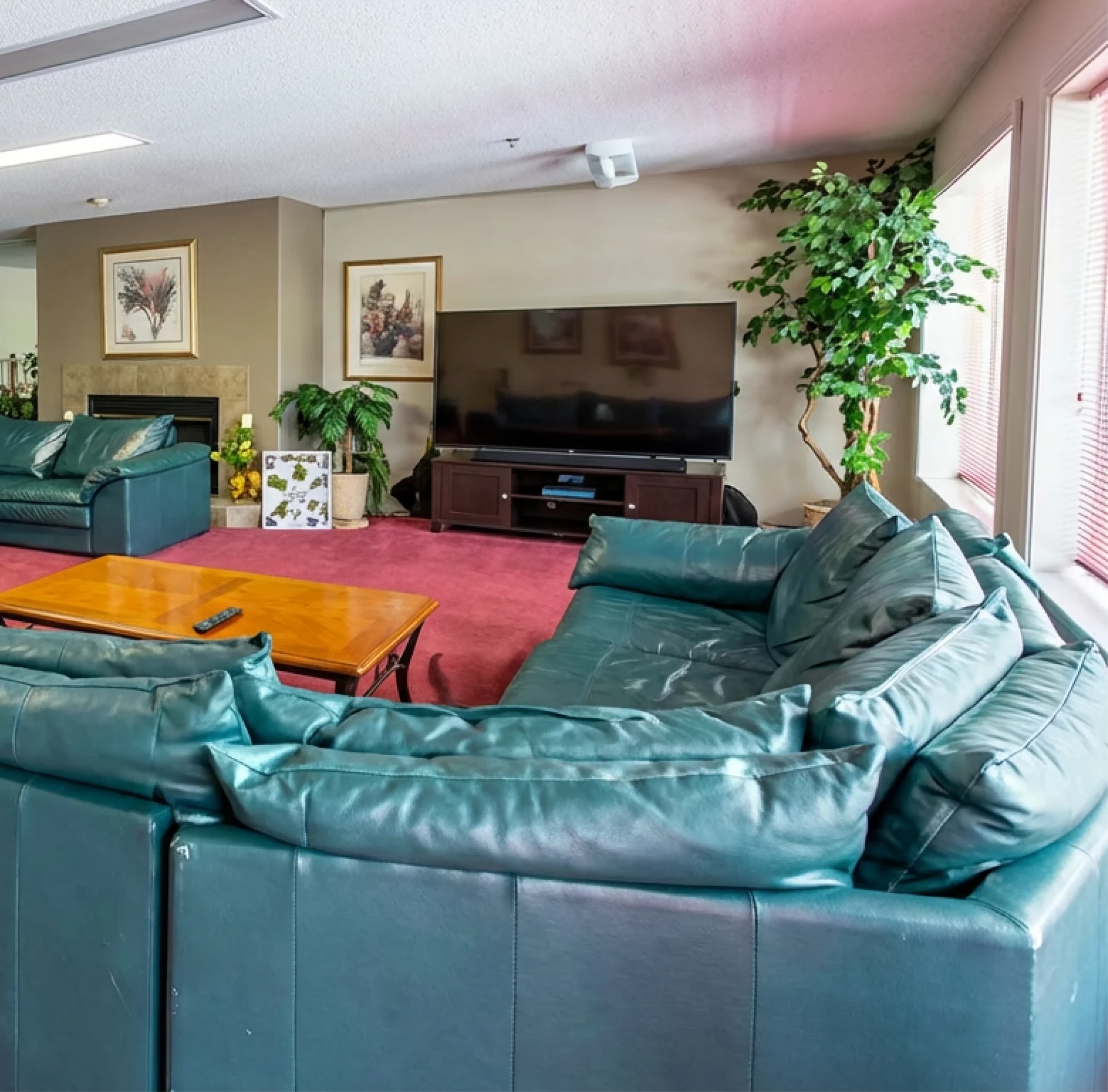 Comfortable furnished living room at Walnut Gardens Apartments